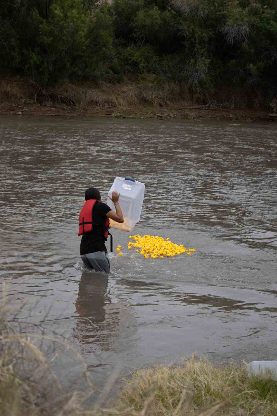 fiesta duck race starting line