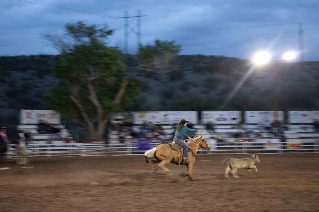 rodeo 2026 roper fiesta