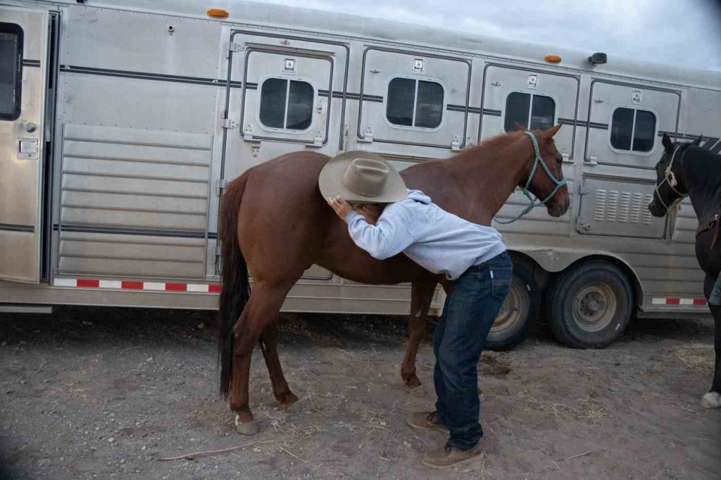 rodeo ass kisser