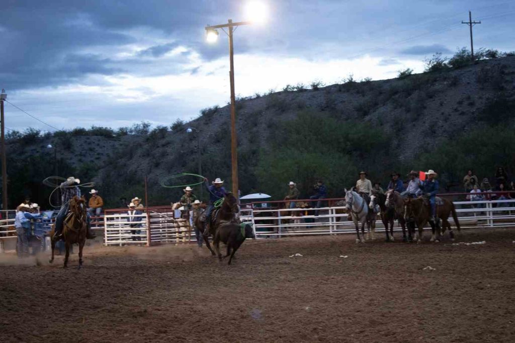 rodeo calf roping event