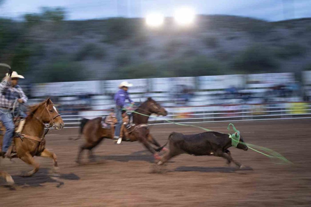 rodeo cool calf roping shot