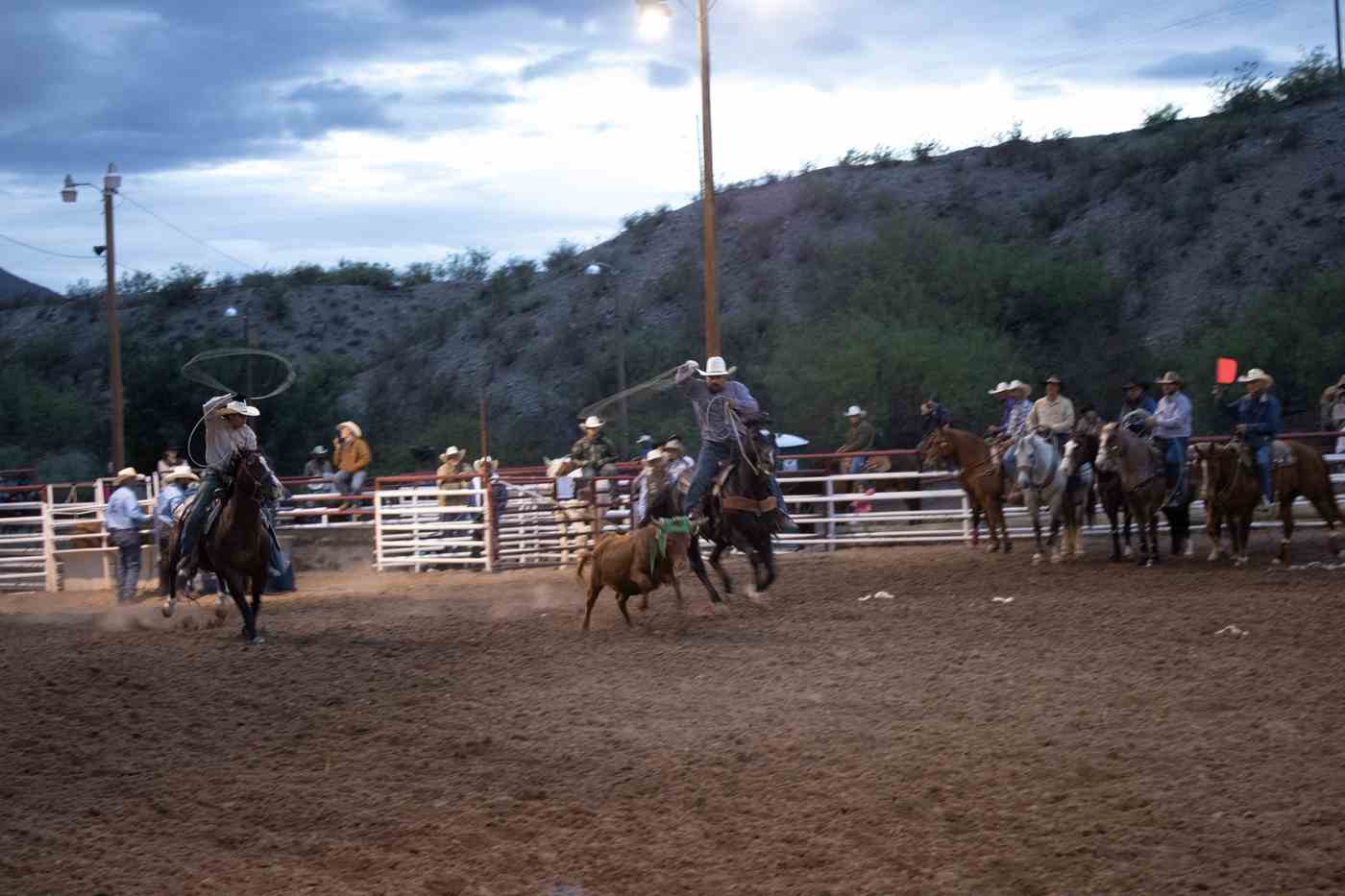 rodeo fiesta 2026