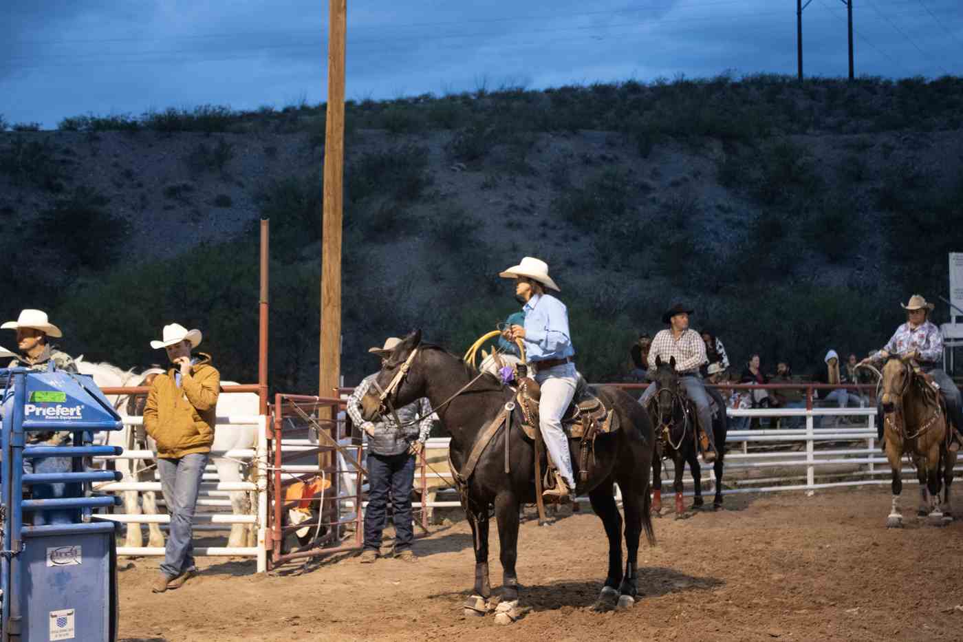 rodeo scene fiesta 2026